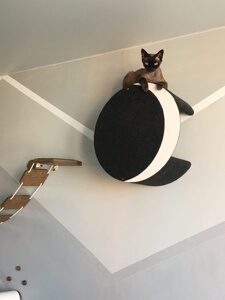 Двухуровневый домик для кошек "Луна"