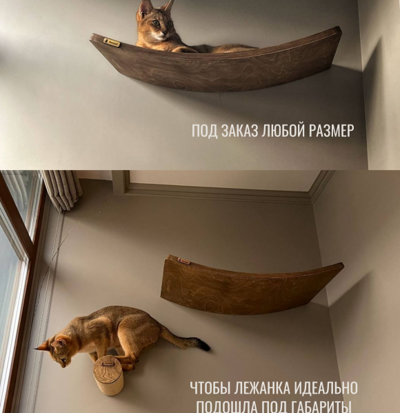 Лежанка настенная для кошек Halvmane с парящим эффектом