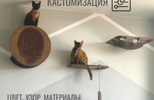 Домик настенный для кошек двухуровневый Mane с парящим эффектом