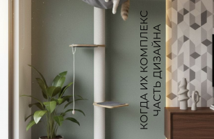 Настенный игровой комплекс для кошек Эверест white