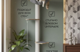 Настенный игровой комплекс для кошек Эверест white
