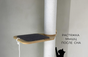 Настенный игровой комплекс для кошек Эверест white