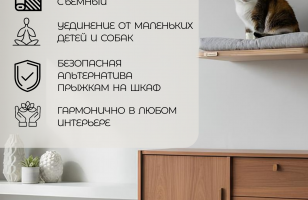 Лежанка настенная для кошек Pute с парящим эффектом