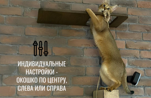 Полка с окошком настенная для кошек Portal с парящим эффектом