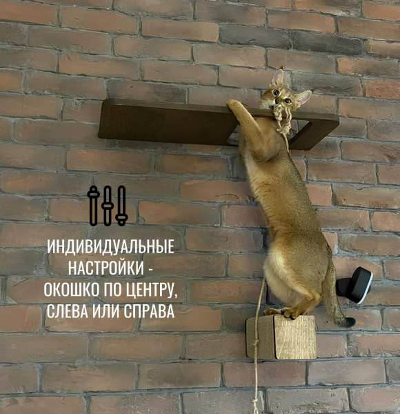 Полка с окошком настенная для кошек Portal с парящим эффектом