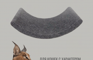 Лежанка настенная для кошек Vugge V2 с парящим эффектом