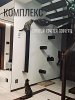 Настенный игровой комплекс для кошки "DRøM" шпон американского ореха