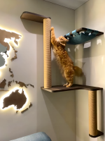 Настенный игровой комплекс для кошек Verdenskart с парящим эффектом