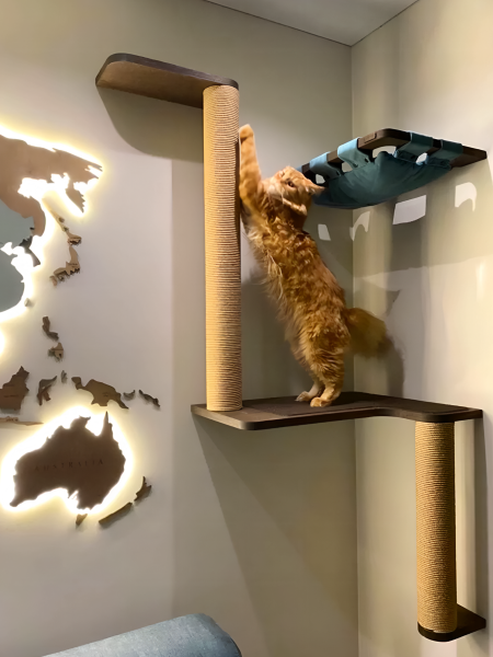 Настенный игровой комплекс для кошек Verdenskart с парящим эффектом