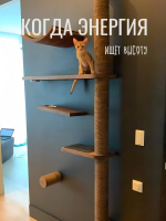 Настенный игровой комплекс для кошек Roxy с парящим эффектом