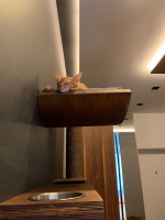 Настенный игровой комплекс для кошек Roxy с парящим эффектом