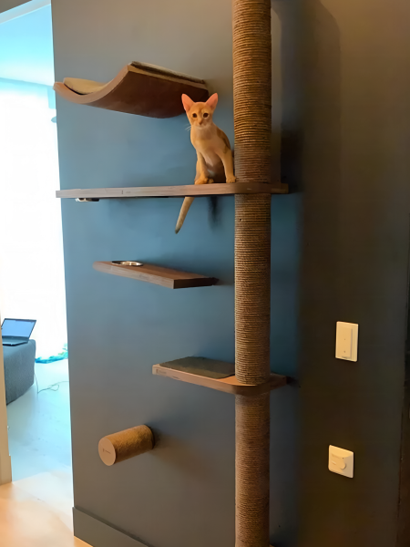Настенный игровой комплекс для кошек Roxy с парящим эффектом