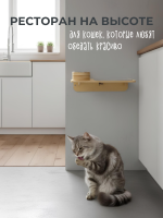 Полка-кормушка настенная для кошек Appetitt hoy