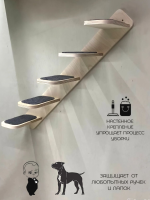 Лестница настенная для кошек Kattform 5