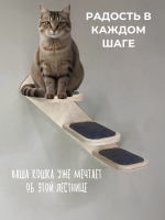Лестница настенная для кошек Kattform 3