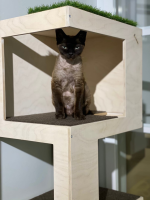 Игровой комплекс для кошек Lekketarn