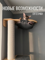 Гамак для когтеточки поворотный Nave Chill